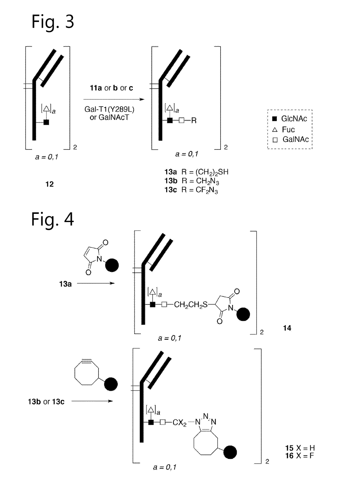 Sulfamide linker, conjugates thereof, and methods of preparation