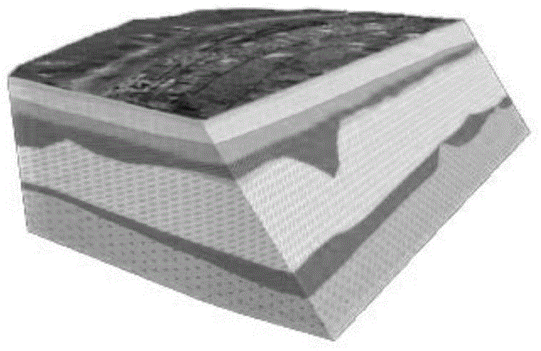 Digital rock mass establishment and application method for well drilling