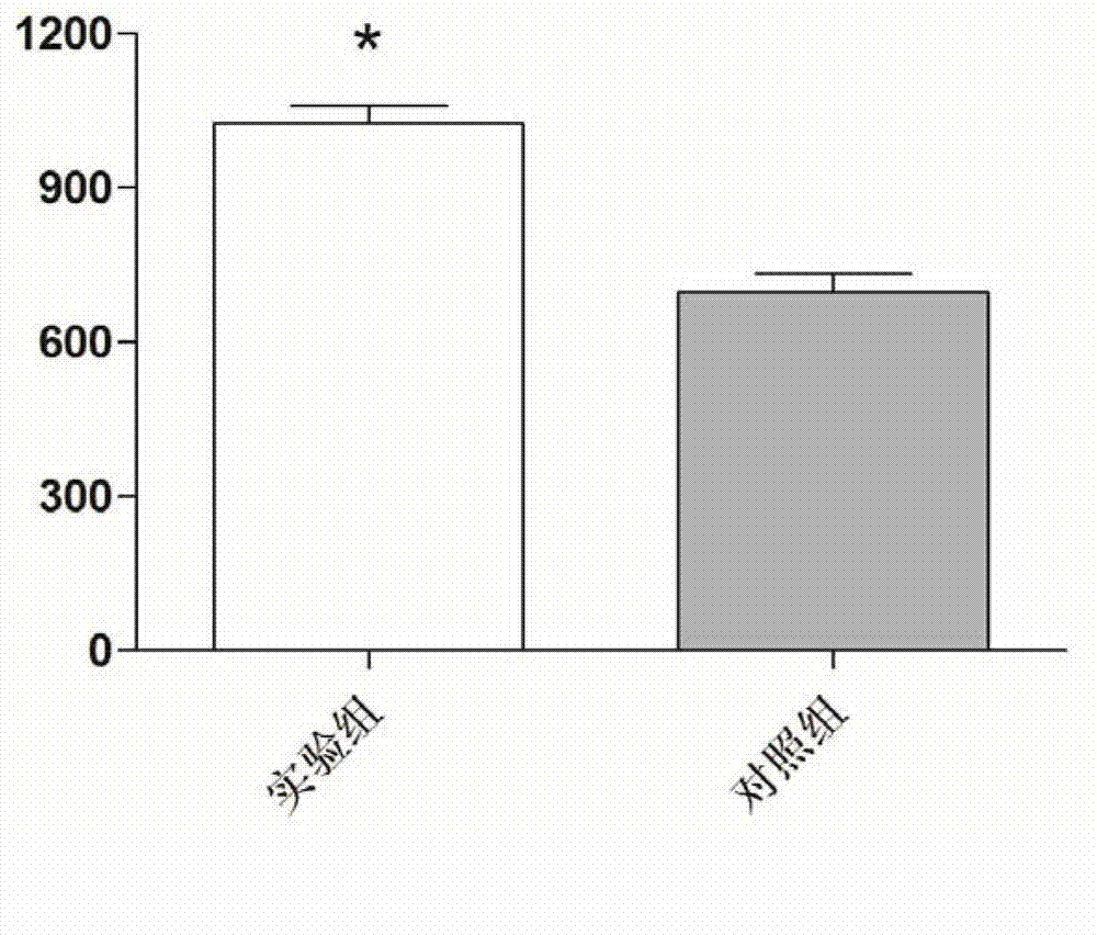 Preparation method of CIK (Cytokine Induced Killer) cells with high proliferation capacity, high cytotoxic activity and high survival rate, associated CIK cells and application