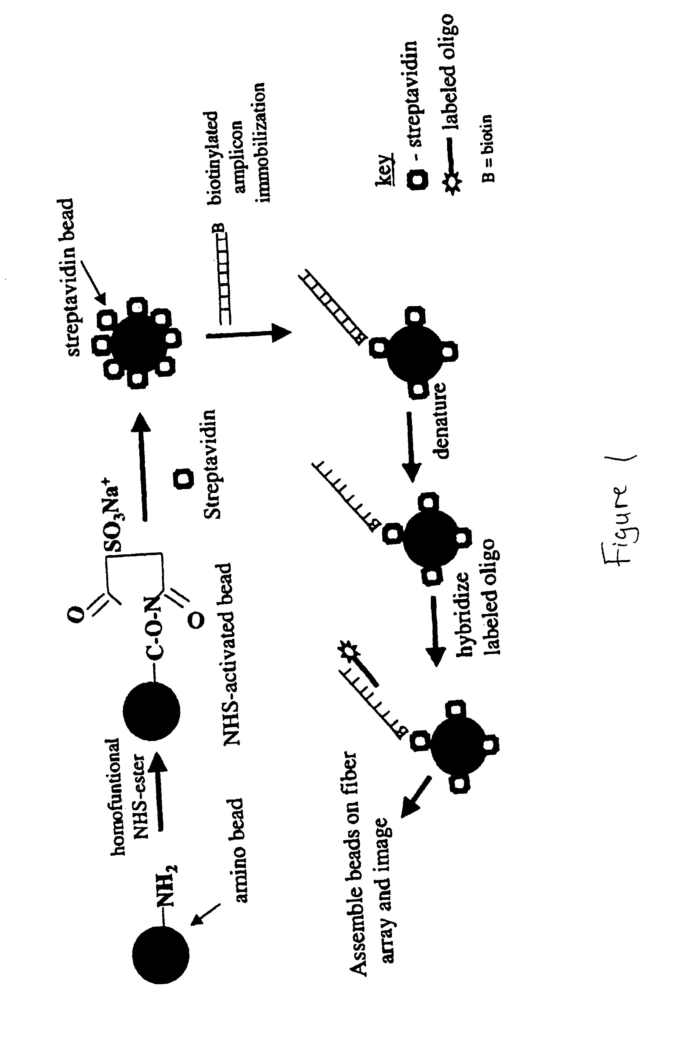 Parallel genotyping of multiple patient samples