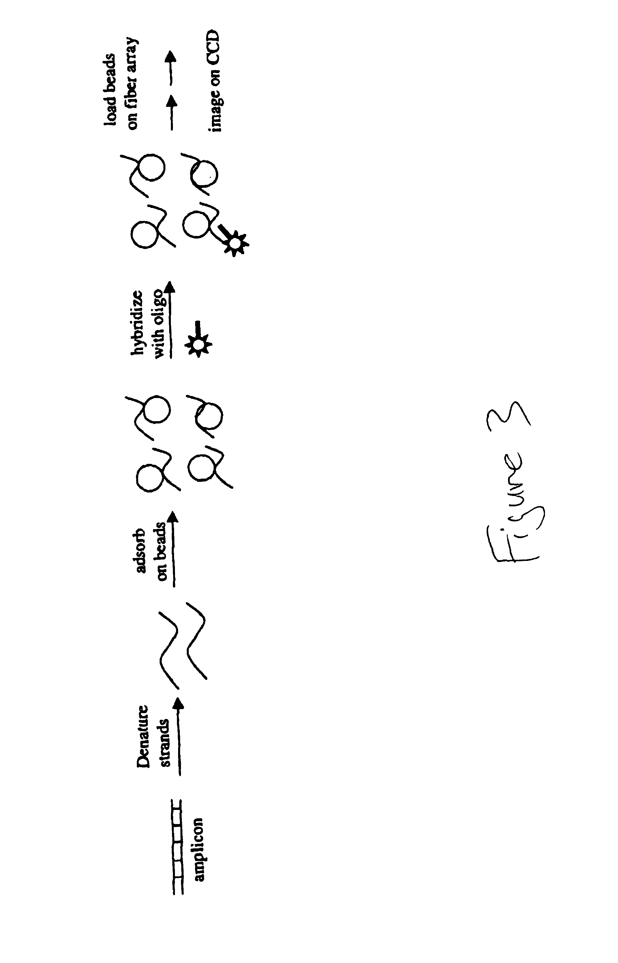 Parallel genotyping of multiple patient samples