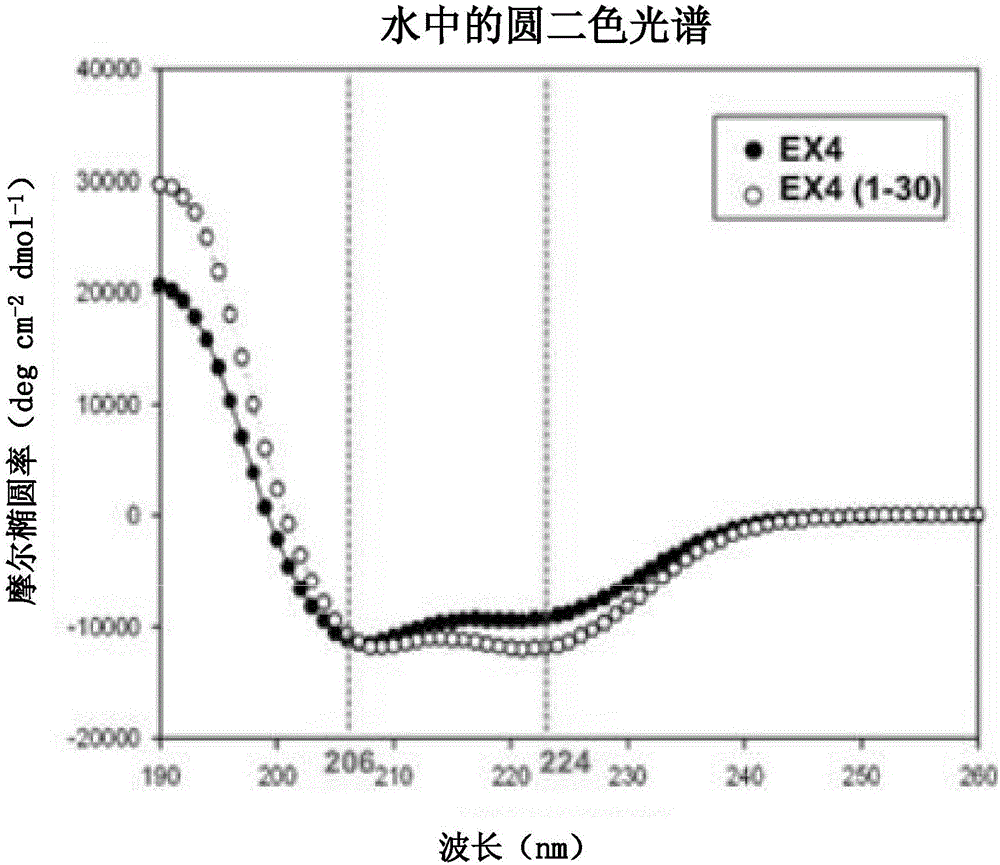 Novel exenatide analogue and use thereof