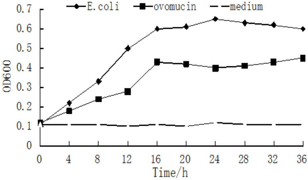 Method for extracting and separating and purifying protein