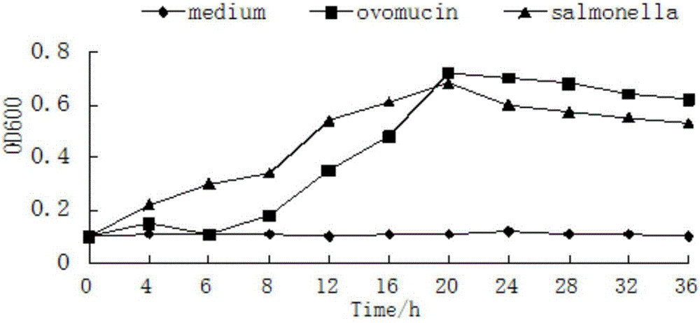 Method for extracting and separating and purifying protein