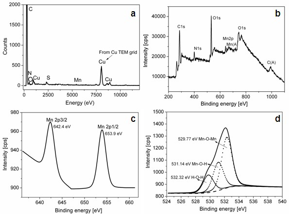 Method for preparing manganese dioxide nanoparticles with bovine serum albumin as template