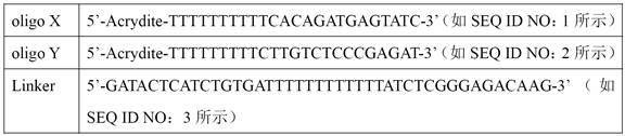 CRISPR/Cas-driven DNA hydrogel colorimetric sensor as well as preparation method and application thereof