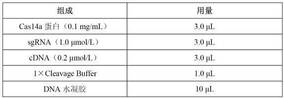 CRISPR/Cas-driven DNA hydrogel colorimetric sensor as well as preparation method and application thereof