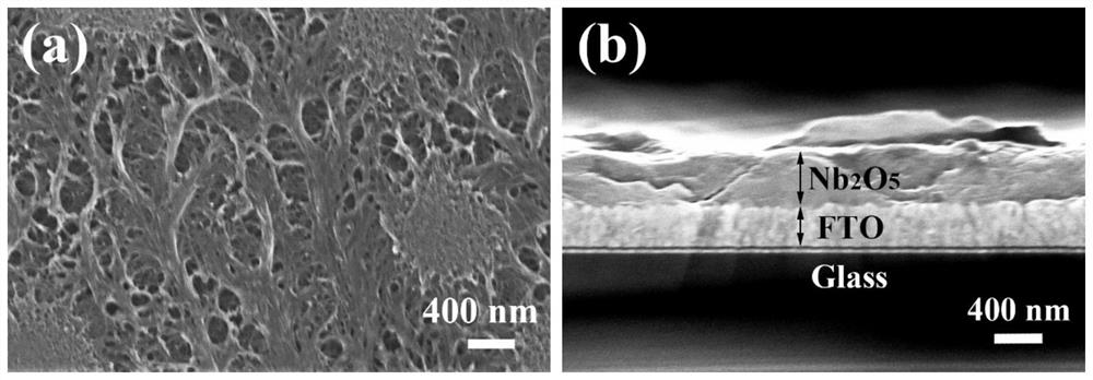 A kind of niobium pentoxide electrochromic film, hydrothermal synthesis method and use thereof