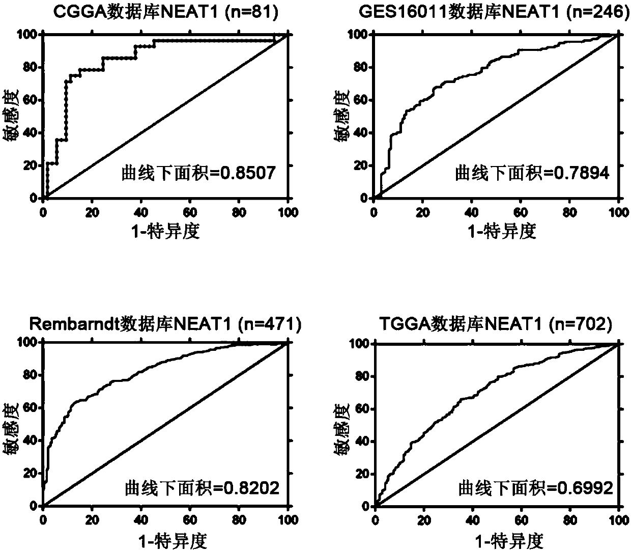 Application of lncRNA-NEAT1 as molecular pathological diagnosis marker in preparation of glioma diagnosis reagent