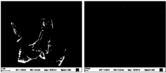 Method for preparing manganese dioxide nanosheets by low-temperature hydrothermal method