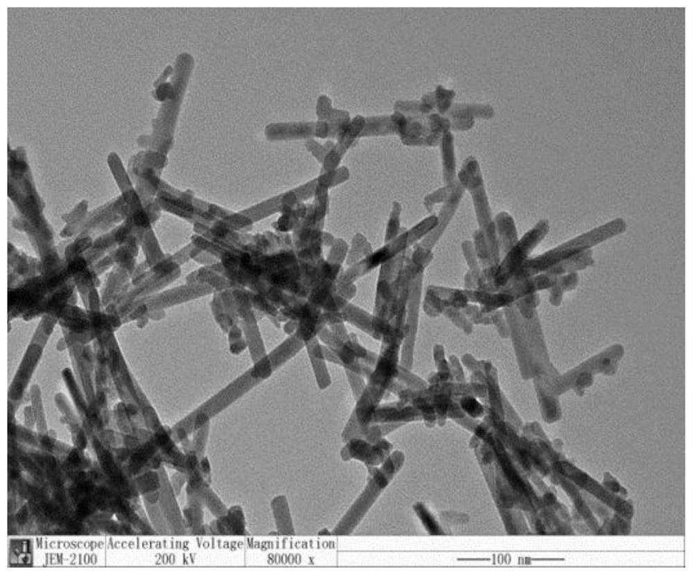 Application of bismuth sulfide catalyst with sulfur vacancies