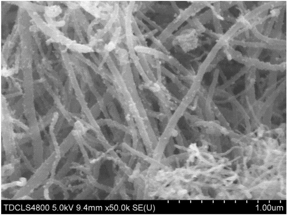 Transition metal oxide carbon nanotube composite material and its preparation method and application