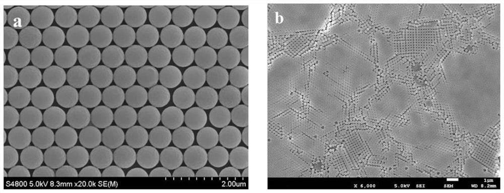 High-brightness chromogenic film as well as preparation method and application thereof