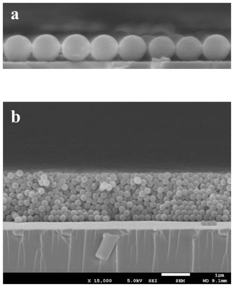 High-brightness chromogenic film as well as preparation method and application thereof