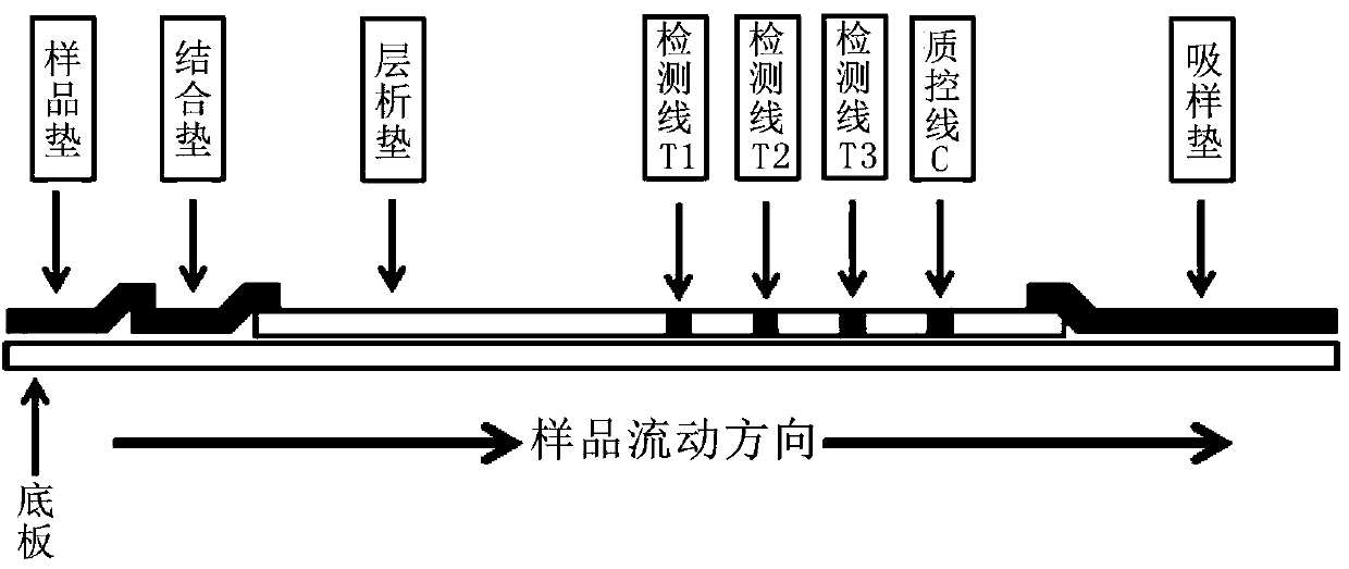 Early esophageal cancer combined screening test strip