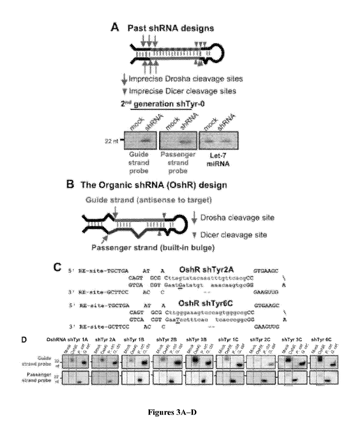 Organic small hairpin RNAs