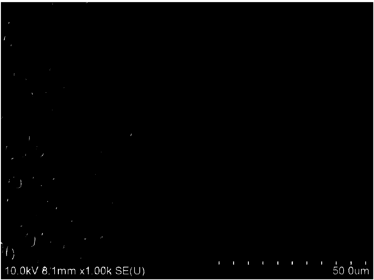 Oral care composition for resisting dental acid erosion