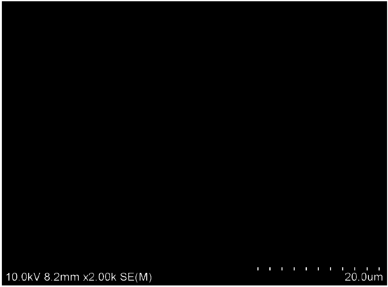 Oral care composition for resisting dental acid erosion