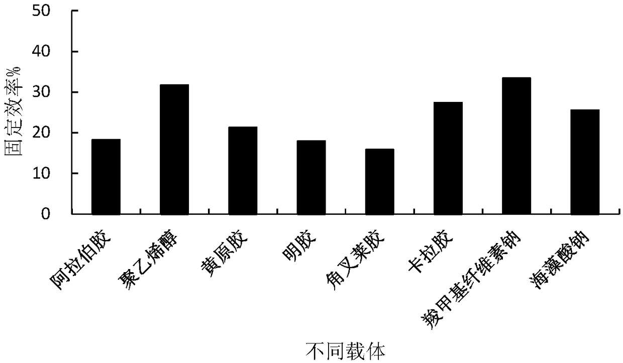 Immobilized lipase and preparation method thereof