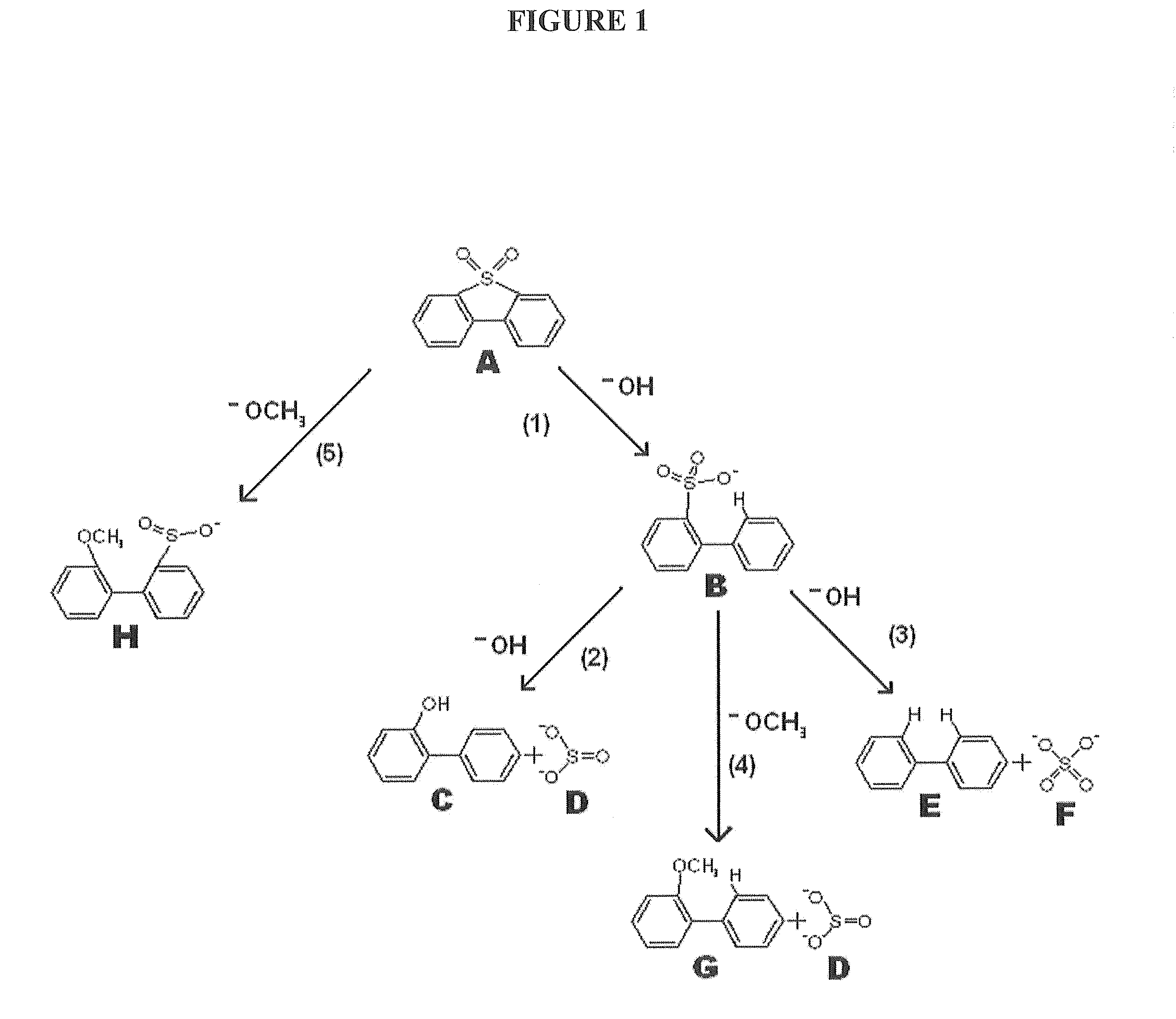 Reaction system and products therefrom