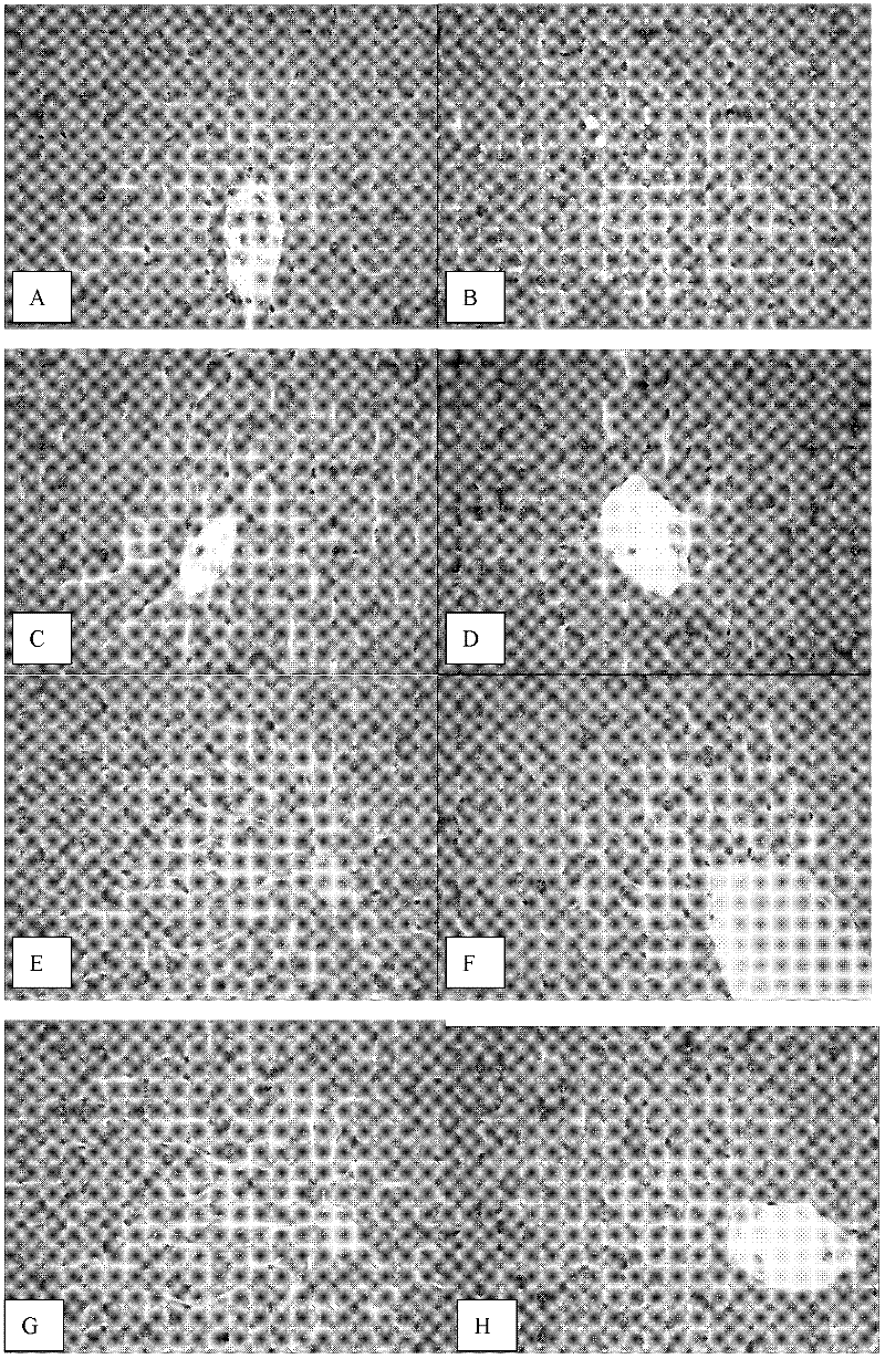 A kind of pharmaceutical composition for treating alcoholic liver injury