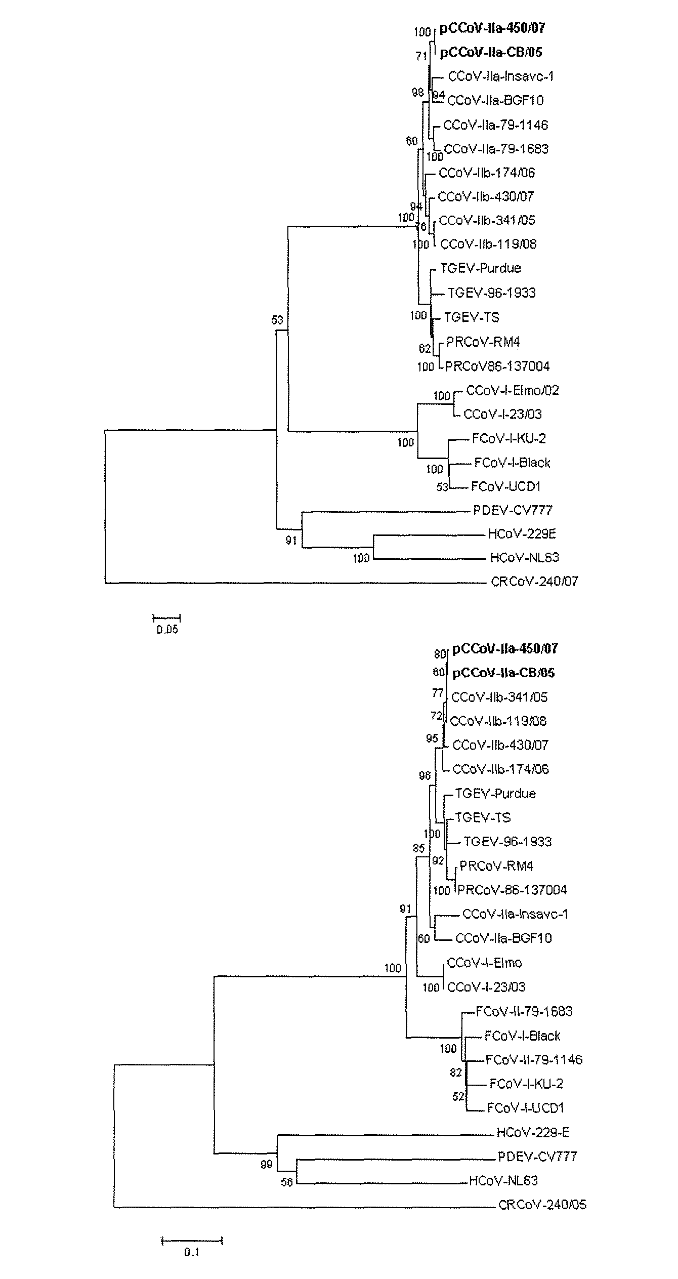 Canine coronavirus vaccine