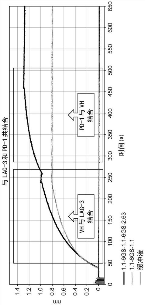 Therapeutic molecules that bind to lag3 and pd1