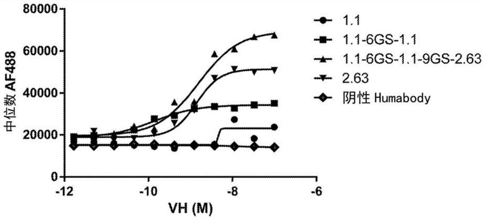 Therapeutic molecules that bind to lag3 and pd1