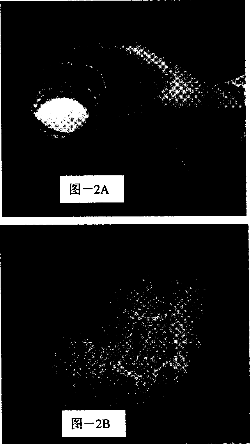 Acoustical contrast medium of polymer material and its prepn