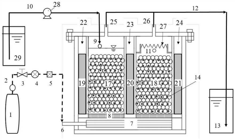 Device and method for enhancing iron autotrophic denitrification coupling carbon capture