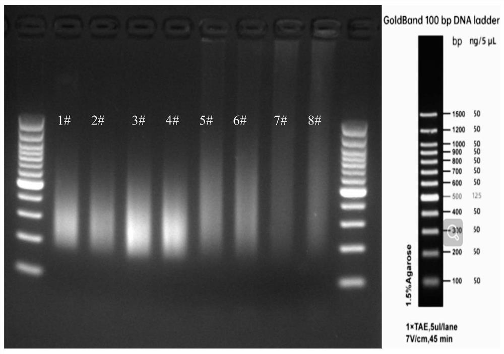 Mutant Tn5 transposase and kit