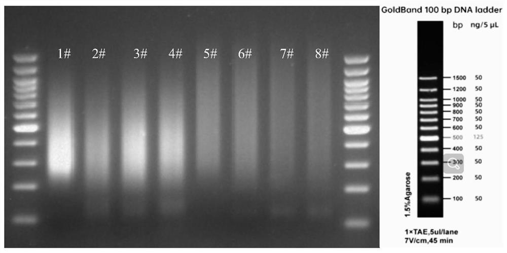 Mutant Tn5 transposase and kit