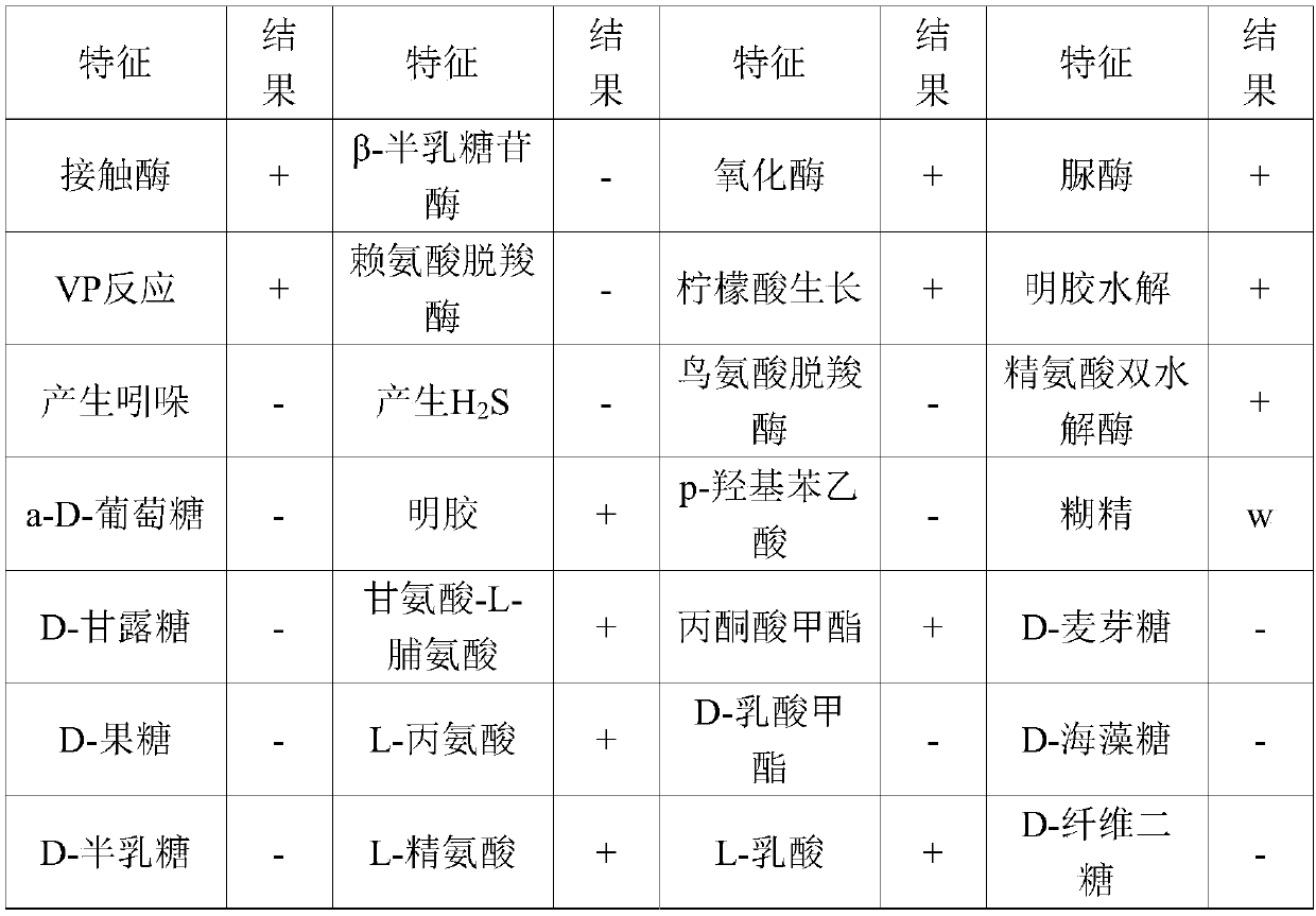 Lysinibacillus fusiformis and application thereof