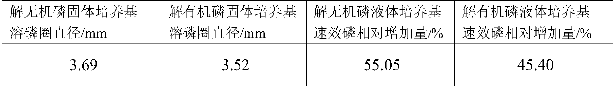 Lysinibacillus fusiformis and application thereof