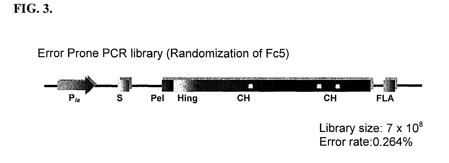 Immunoglobulin Fc polypeptides