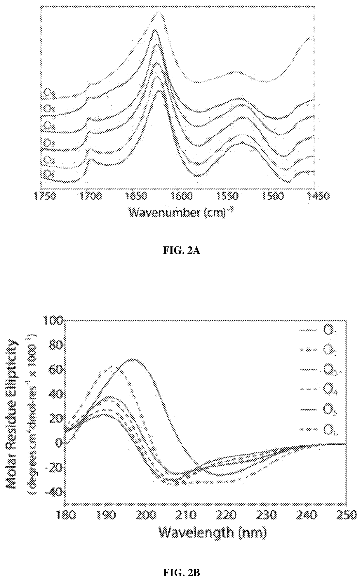 Neutral multidomain peptide hydrogels and uses thereof