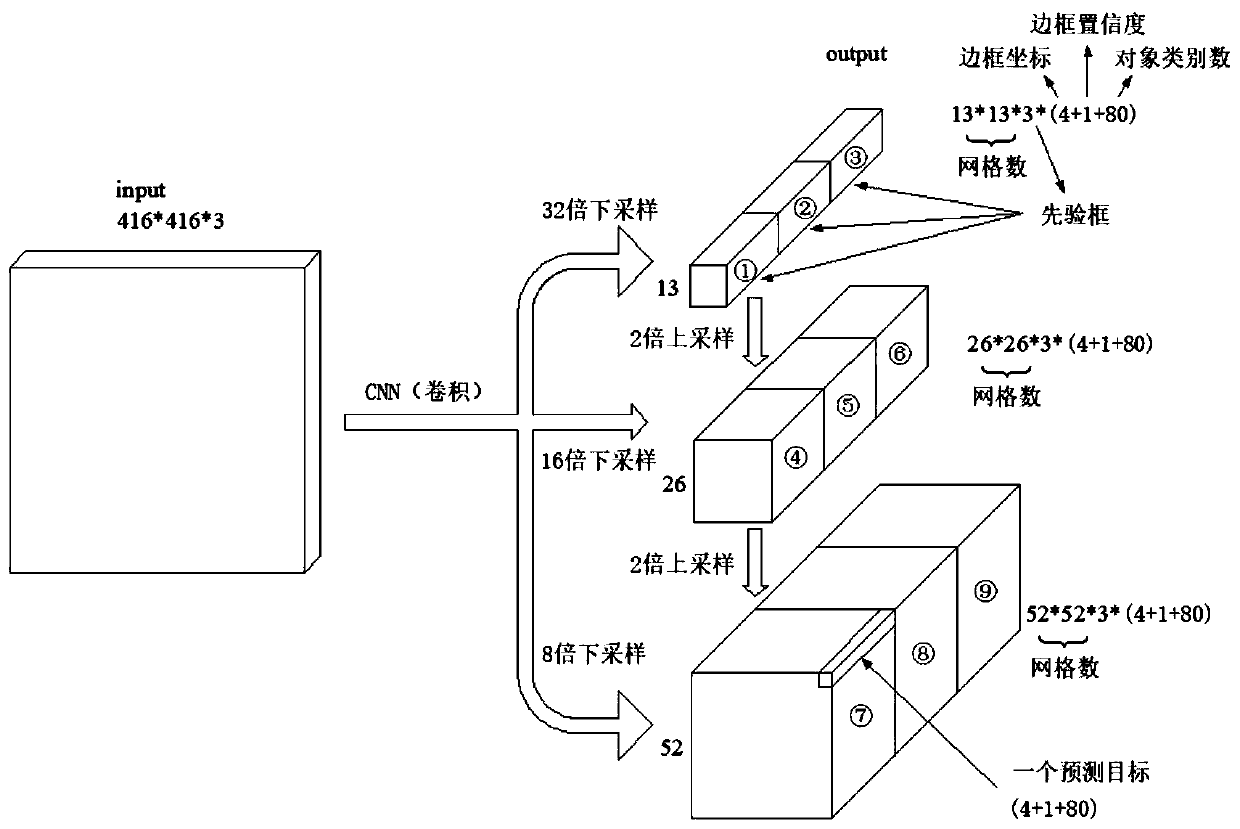 Chromosome division phase positioning and sequencing method