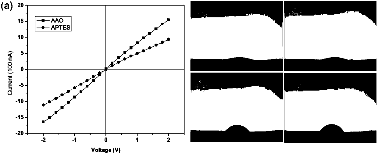 Double photo-responsive aluminum oxide nano channel based on N3 and spiropyrane molecular modification and preparation method thereof