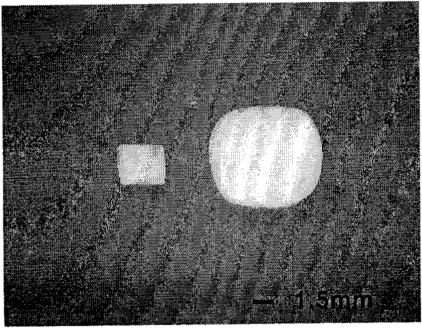 Biodegradable material poly(hexanedioic acid-para-phthalic acid-butanediol ester) foaming particles preparation method