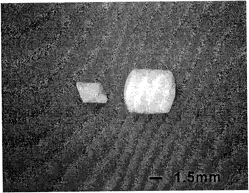 Biodegradable material poly(hexanedioic acid-para-phthalic acid-butanediol ester) foaming particles preparation method