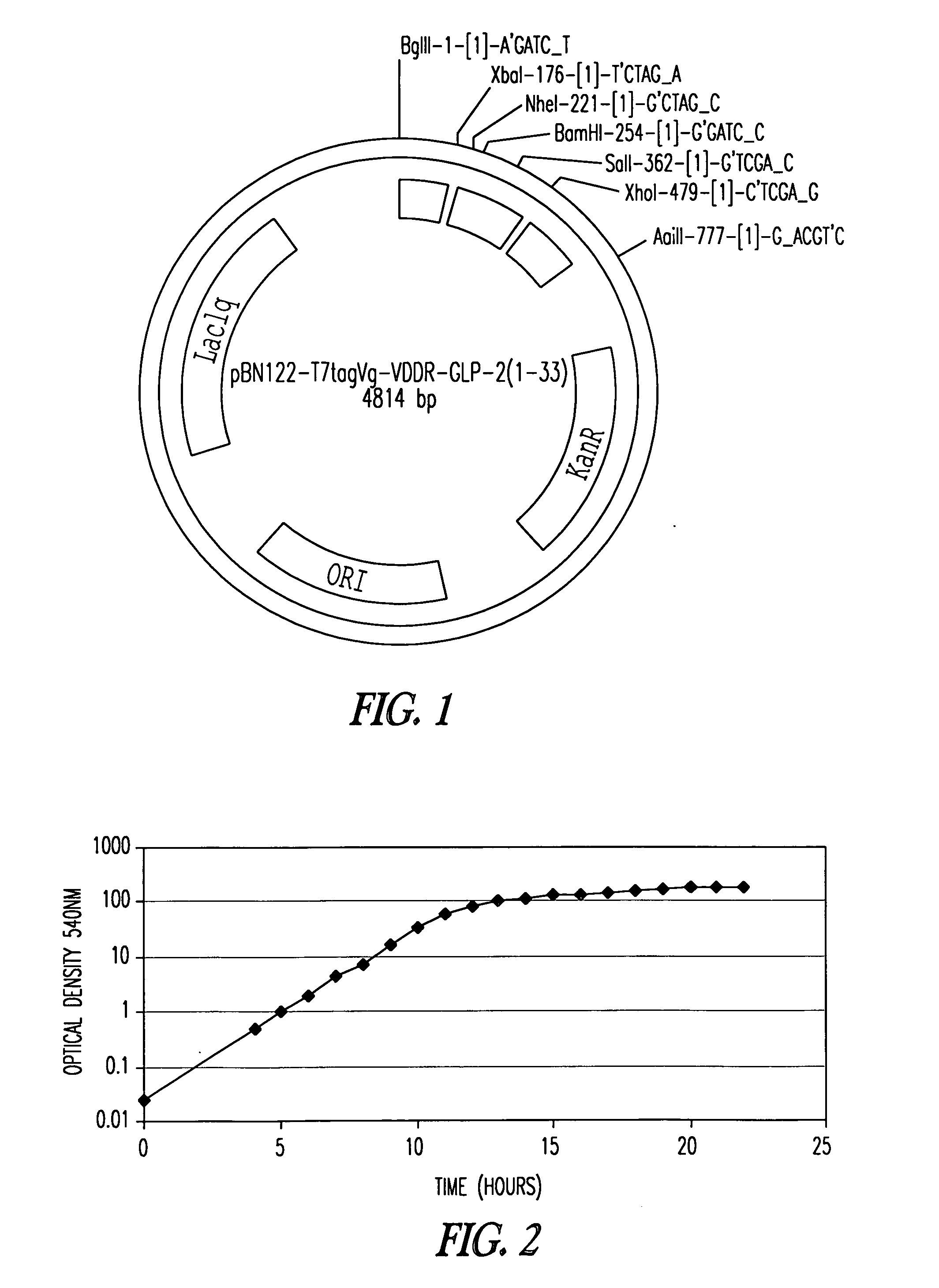 Method for enzymatic production of GLP-2(1-33) and GLP-2(1-34) peptides