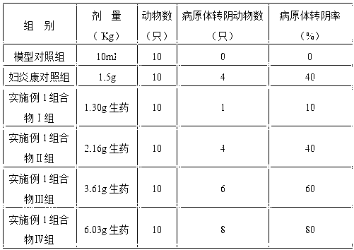 Pharmaceutical composition for treating gynecological inflammation and preparation method thereof