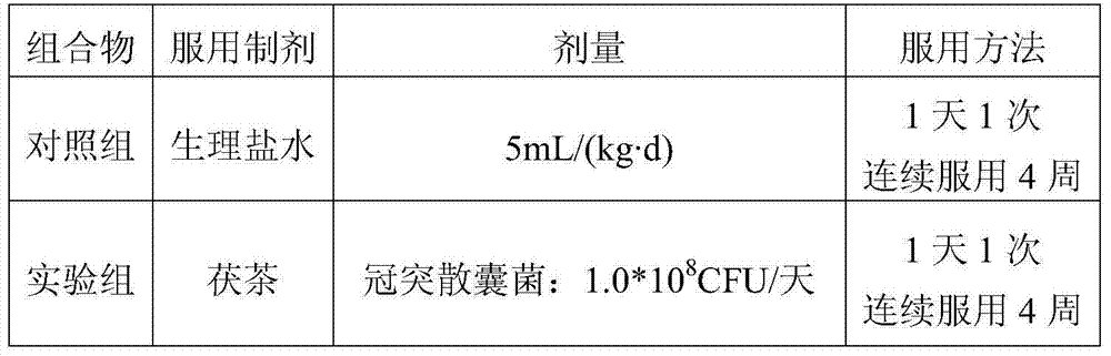 Fu tea and preparation method and use thereof