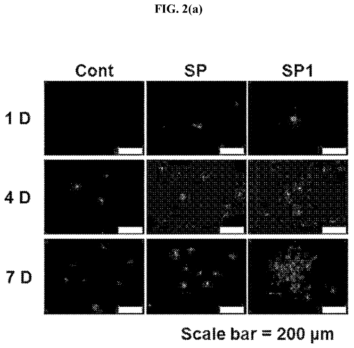 Substance P analog having progenitor cell or stem cell recruiting activity and method for progenitor cell or stem cell recruiting using the same