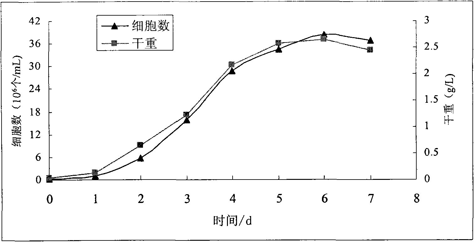 Culture medium of euglena gracilis and open type high-density culture method