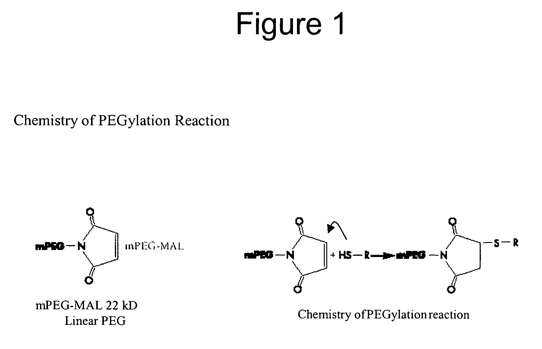 Modified IL-4 mutein receptor antagonists