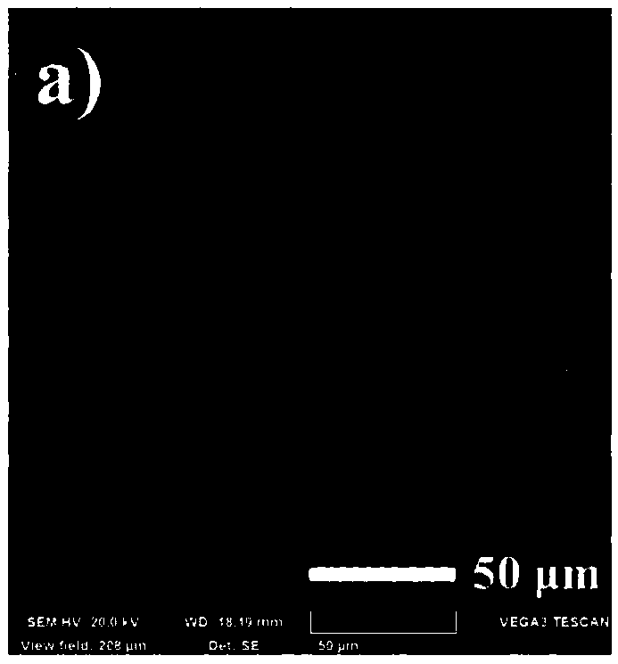 Preparation method of three-dimensional pd-ni nanowire array catalyst for electroreduction of hydrogen peroxide