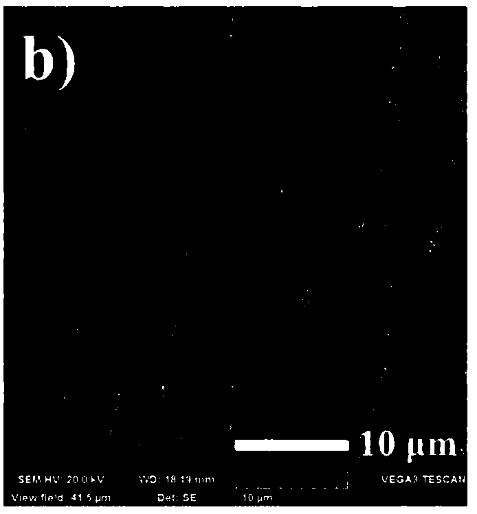 Preparation method of three-dimensional pd-ni nanowire array catalyst for electroreduction of hydrogen peroxide