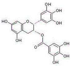 Application of epigallocatechin gallate (EGCG) in preparing drug for resisting respiratory syncytial virus