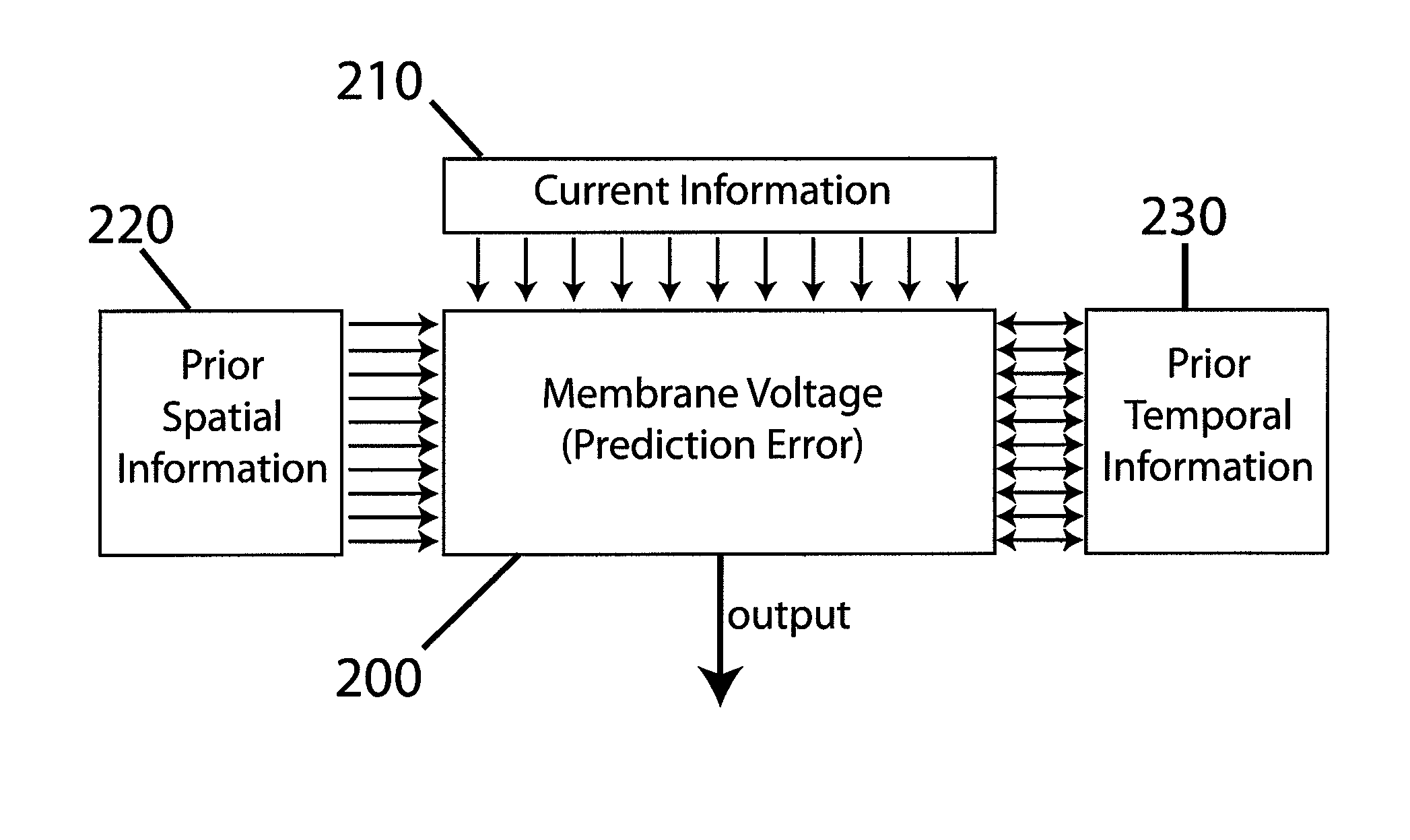 Prediction by single neurons